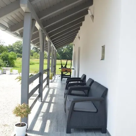 Veronika Vendeghaz *