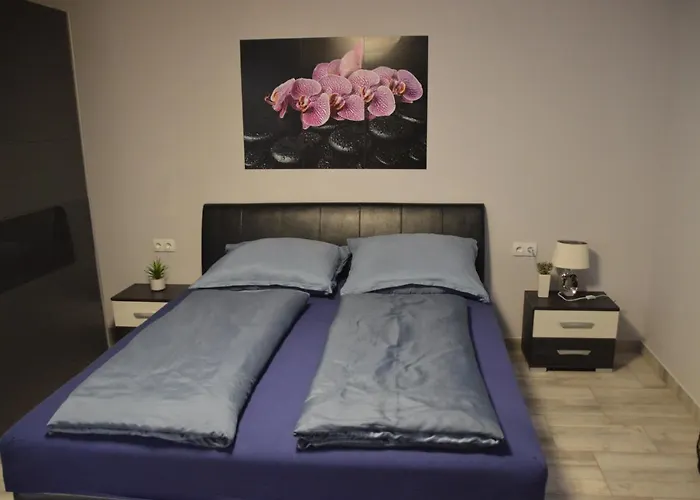 Apartment Veronika Vendeghaz *